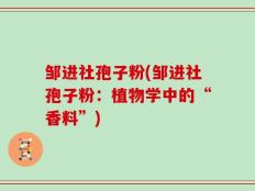 邹进社孢子粉(邹进社孢子粉：植物学中的“香料”)