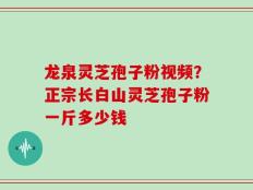 龙泉灵芝孢子粉视频？正宗长白山灵芝孢子粉一斤多少钱