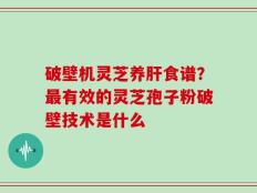 破壁机灵芝养肝食谱？最有效的灵芝孢子粉破壁技术是什么