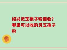 绍兴灵芝孢子粉回收？哪里可以收购灵芝孢子粉