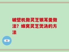 破壁机做灵芝银耳羹做法？蜂窝灵芝煲汤的方法