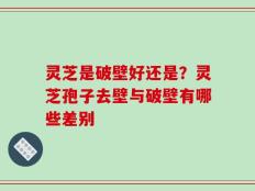 灵芝是破壁好还是？灵芝孢子去壁与破壁有哪些差别