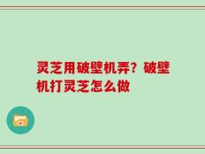 灵芝用破壁机弄？破壁机打灵芝怎么做