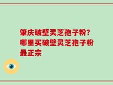肇庆破壁灵芝孢子粉？哪里买破壁灵芝孢子粉最正宗