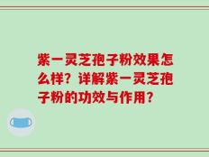 紫一灵芝孢子粉效果怎么样？详解紫一灵芝孢子粉的功效与作用？