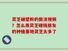 灵芝破壁粉的做法视频？怎么用灵芝赚钱朋友的种植基地灵芝太多了