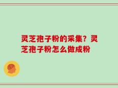 灵芝孢子粉的采集？灵芝孢子粉怎么做成粉