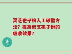 灵芝孢子粉人工破壁方法？提高灵芝孢子粉的吸收效果？