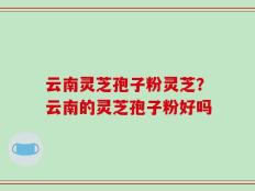云南灵芝孢子粉灵芝？云南的灵芝孢子粉好吗