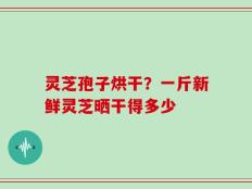 灵芝孢子烘干？一斤新鲜灵芝晒干得多少