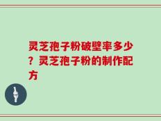 灵芝孢子粉破壁率多少？灵芝孢子粉的制作配方