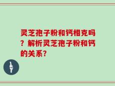 灵芝孢子粉和钙相克吗？解析灵芝孢子粉和钙的关系？