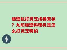 破壁机打灵芝成棉絮状？九阳破壁料理机是怎么打灵芝粉的