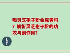 喝灵芝孢子粉会尿黄吗？解析灵芝孢子粉的功效与副作用？