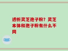 透析灵芝孢子粉？灵芝本体和孢子粉有什么不同