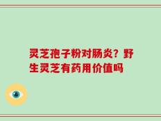 灵芝孢子粉对肠炎？野生灵芝有药用价值吗