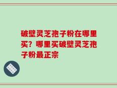 破壁灵芝孢子粉在哪里买？哪里买破壁灵芝孢子粉最正宗
