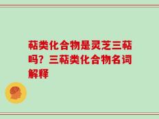 萜类化合物是灵芝三萜吗？三萜类化合物名词解释