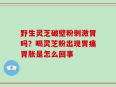 野生灵芝破壁粉刺激胃吗？喝灵芝粉出现胃痛胃胀是怎么回事