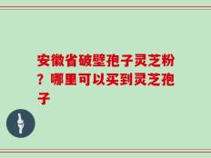 安徽省破壁孢子灵芝粉？哪里可以买到灵芝孢子