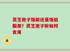 灵芝孢子饭前还是饭后服用？灵芝孢子粉如何食用