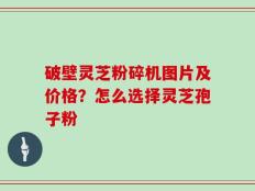 破壁灵芝粉碎机图片及价格？怎么选择灵芝孢子粉