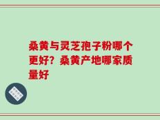 桑黄与灵芝孢子粉哪个更好？桑黄产地哪家质量好