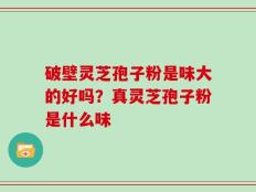破壁灵芝孢子粉是味大的好吗？真灵芝孢子粉是什么味