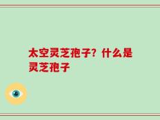 太空灵芝孢子？什么是灵芝孢子