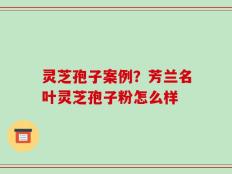 灵芝孢子案例？芳兰名叶灵芝孢子粉怎么样