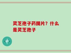 灵芝孢子药图片？什么是灵芝孢子