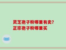 灵芝孢子粉哪里有卖？正宗孢子粉哪里买