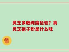 灵芝多糖纯度检验？真灵芝孢子粉是什么味