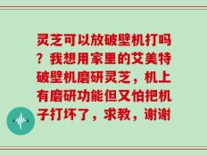 灵芝可以放破壁机打吗？我想用家里的艾美特破壁机磨研灵芝，机上有磨研功能但又怕把机子打坏了，求教，谢谢