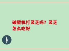 破壁机打灵芝吗？灵芝怎么吃好