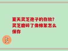夏天灵芝孢子的存放？灵芝磨碎了像棉絮怎么保存