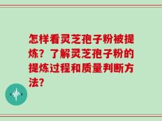 怎样看灵芝孢子粉被提炼？了解灵芝孢子粉的提炼过程和质量判断方法？