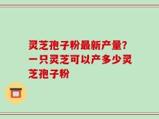 灵芝孢子粉最新产量？一只灵芝可以产多少灵芝孢子粉