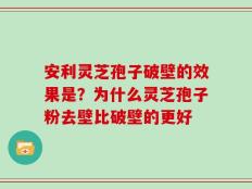 安利灵芝孢子破壁的效果是？为什么灵芝孢子粉去壁比破壁的更好