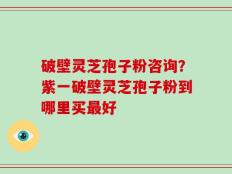 破壁灵芝孢子粉咨询？紫一破壁灵芝孢子粉到哪里买最好