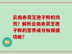 云南赤灵芝孢子粉的功效？解析云南赤灵芝孢子粉的营养成分和保健功能？