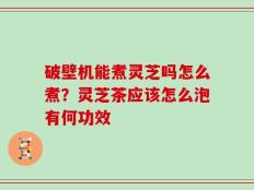 破壁机能煮灵芝吗怎么煮？灵芝茶应该怎么泡有何功效