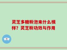 灵芝多糖粉泡来什么模样？灵芝粉功效与作用