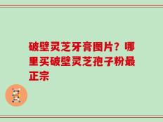 破壁灵芝牙膏图片？哪里买破壁灵芝孢子粉最正宗