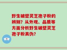 野生破壁灵芝孢子粉的辨别？从外观、品质等方面分析野生破壁灵芝孢子粉真伪？