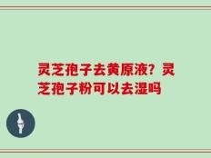 灵芝孢子去黄原液？灵芝孢子粉可以去湿吗