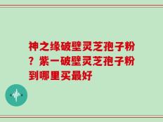 神之缘破壁灵芝孢子粉？紫一破壁灵芝孢子粉到哪里买最好