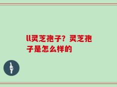 ll灵芝孢子？灵芝孢子是怎么样的