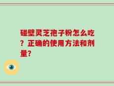 碰壁灵芝孢子粉怎么吃？正确的使用方法和剂量？