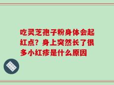吃灵芝孢子粉身体会起红点？身上突然长了很多小红疹是什么原因
